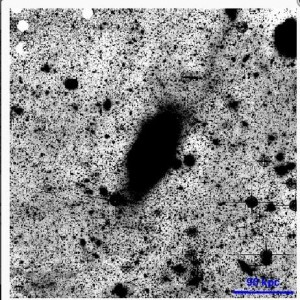  Maskiertes Bild von M87, das bearbeitet wurde um schwache Stukturen besser sichtbar zu machen. Im Bereich der Halos rechts oben (in einer Entfernung von 60-90 kpc entlang der Hauptachse) kann man eine Kronen-förmige Struktur erkennen. © MPE 
